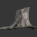 Rustic Wood And Stone Sculpture With Tree Stump Design Intricate Roots And Green Mossy Base
