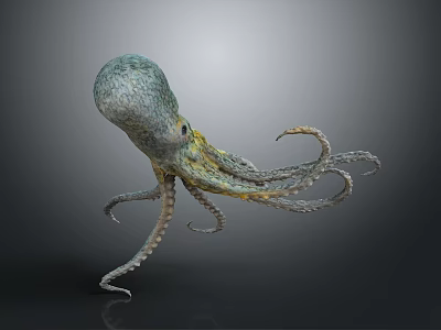 Realistic 3D Rendered Spotted Octopus With Curled Tentacles On Dark Background 3d model