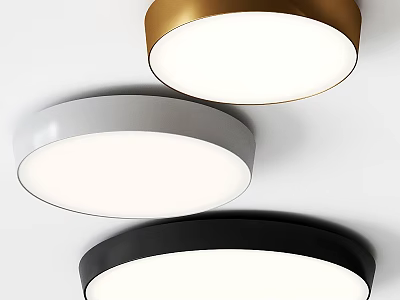 Modern Round Ceiling Lights in Gold Gray and Black Colors for Home Interior 3d model