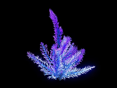 Purple and Blue Decorative Flower Plant Light Up on Black Background 3d model