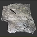 Natural Wood Stone Material With Gray Tone Textures And Irregular Natural Shape Design