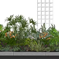 Diverse Indoor Plant Combination With Tropical Leaves Ferns Cacti And Orange Blooms