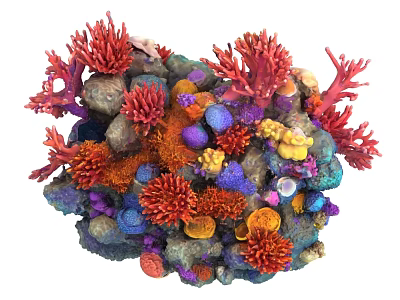 Colorful Aquatic Plants With Vibrant Corals And Various Rocks In Underwater Landscape 3d model