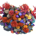 Colorful Aquatic Plants With Vibrant Corals And Various Rocks In Underwater Landscape