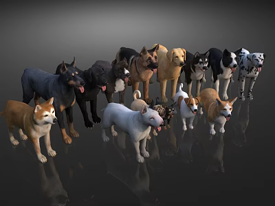 Various Different Dog Breeds Standing Together On Shiny Reflective Surface 3d model