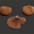 Fresh Orange Edible Mushrooms on Dark Background with Vibrant Color and Natural Texture