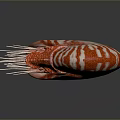 Decorative Nautilus Shell With Red And White Stripes And Tentacles On Gray Surface With Reflection 3d model