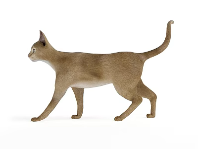 Brown Reptile Lizard Standing On White Background With Natural Posture And Details 3d model