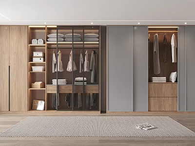 Modern Wooden Closet with Open Design Hanging Folded Clothes Drawers and Rug on Wooden Floor 3d model
