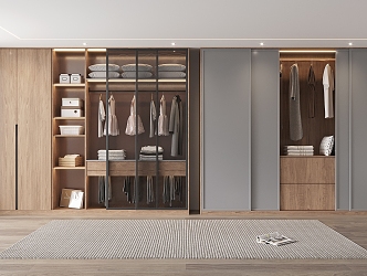 modern wardrobe glass sliding door wood grain wardrobe sliding door wardrobe 3d model