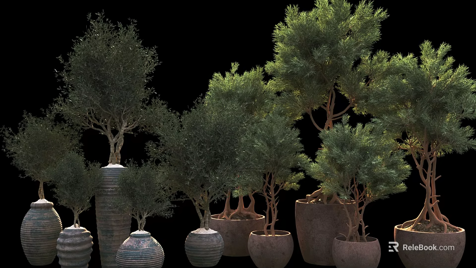 Varied Bonsai and Potted Plants in Ceramic Pots with Green Foliage for Home Decor 3d model 