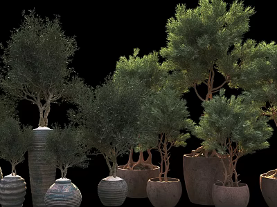 Varied Bonsai and Potted Plants in Ceramic Pots with Green Foliage for Home Decor 3d model