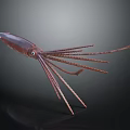 Brown Squid With Long Tentacles Detailed Model Isolated On Dark Background 3d model