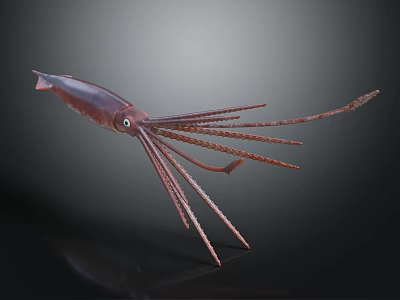 Brown Squid With Long Tentacles Detailed Model Isolated On Dark Background 3d model