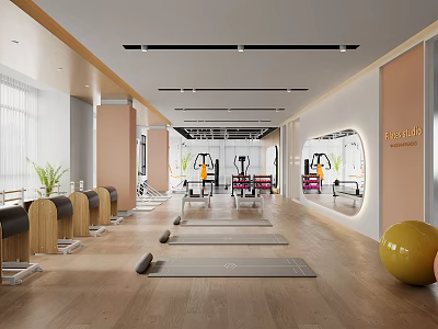 Modern Fitness Studio Interior With Yoga Mats Exercise Ball And Fitness Equipment 3d model