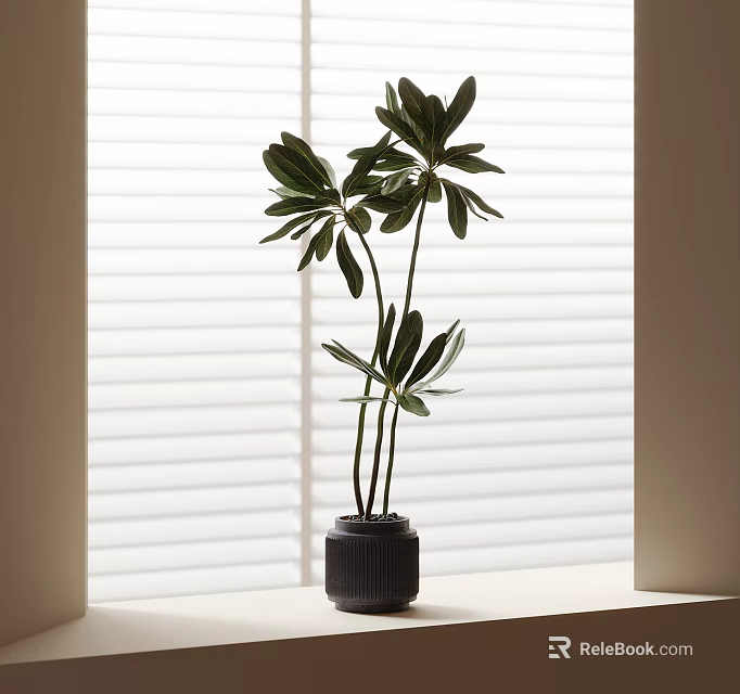 Bonsai Potted Plant On Window Sill With White Blinds Green Leaves And Dark Pot 3d model 