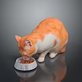 Orange and white cat eating food from marble bowl on dark surface with reflection