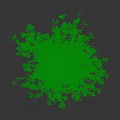 Tall Arbor Tree with Straight Trunk and Lush Green Foliage for Garden Landscaping