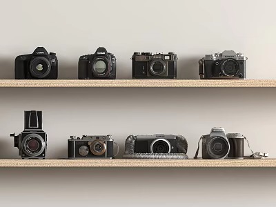 Vintage and Classic Film Cameras Arranged on Two Wooden Shelves 3d model Vintage and Classic Film Cameras Arranged on Two Wooden Shelves 3d model