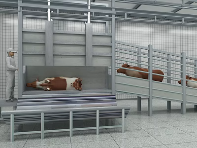 Industrial Cattle Processing Facility With Worker Handling Cows On Metal Structures 3d model