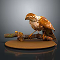 Brown Falcon Perched on Tree Branch with Circular Base Against Dark Background 3d model