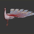 Modern Peacock White Peacock 3d model