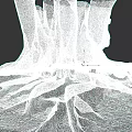 Plant Painting of Massive Tree Roots with Detailed Texture Natural Form and Earth Tones