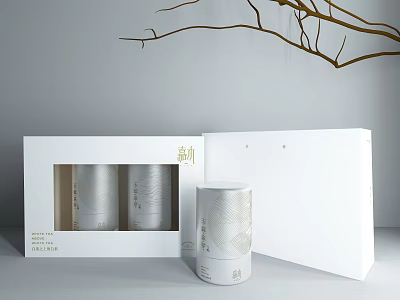 Minimalist Decorative Ornament Set White Open Box Display Silver Cylindrical Textured Design 3d model