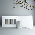 Minimalist Decorative Ornament Set White Open Box Display Silver Cylindrical Textured Design