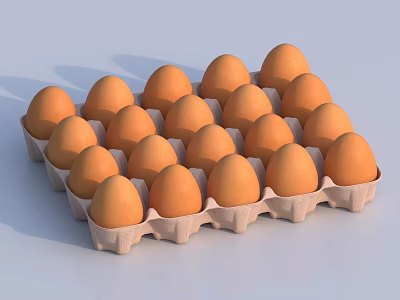 Organic Fresh Brown Eggs Arranged In Paper Carton On White Background 3d model