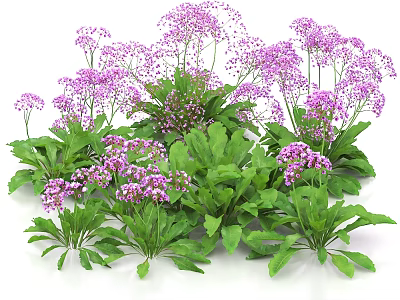 Vibrant Purple Garden Flowers with Lush Green Leaves and Clustered Blooms 3d model