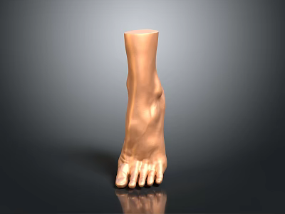 3D Model of Man's Foot Featuring Realistic Anatomical Details and Digital Rendering Design 3d model