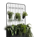 Bonsai Potted Plants Display With Lush Green Foliage In Black Cabinet And Metal Rack