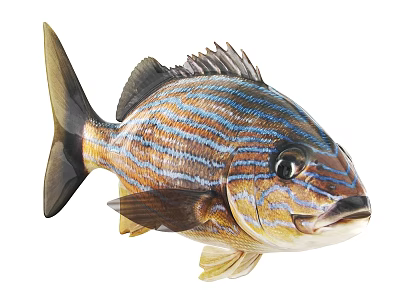 Vibrant Aquatic Fish With Blue And Orange Stripes And Detailed Scales 3d model