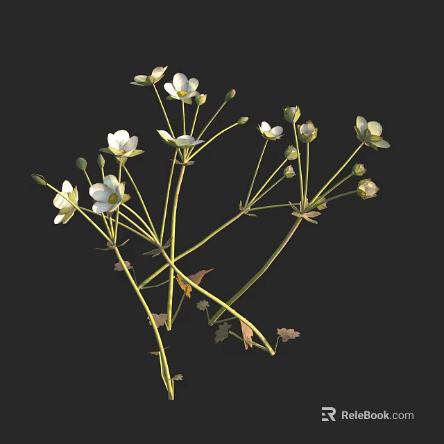 Small White Flowers With Green Stems And Buds On Dark Background 3d model 