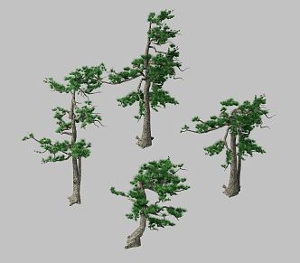 Modern Pine 3d model