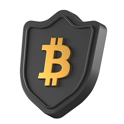 Decorative Ornament Set Shield Shaped Black Decor With Gold Bitcoin Symbol 3d model