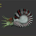 Nautilus With Red And Black Striped Spiral Shell Red Eyes And Tentacles On Gray Background