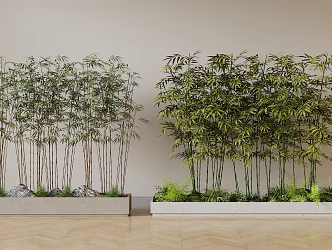 plant bamboo 3d model