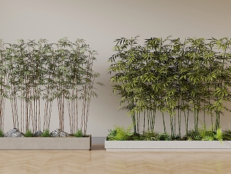 plant bamboo 3d model