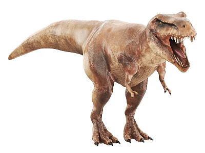 Realistic Tyrannosaurus Rex Dinosaur With Open Mouth Sharp Teeth And Detailed Skin 3d model