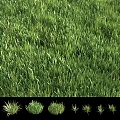 Modern flowers grass lawn gardening grass flowers 3d model