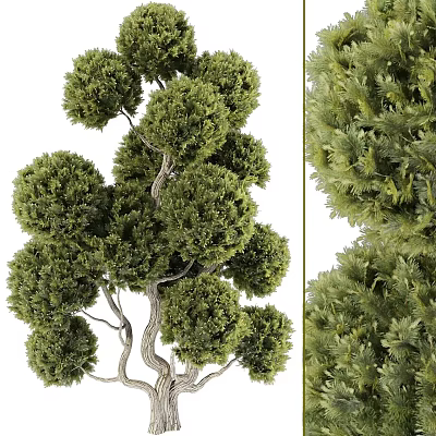 Elegant Arbor Landscape With Lush Green Foliage Rounded Canopy And Unique Branches 3d model