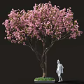 Beautiful Arbor Featuring Pink Blossoms And White Statue On Green Lawn Area