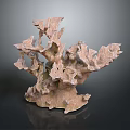 Coral Polyps Marine Animal With Brown Branching Skeleton Natural Structure