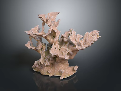 Coral Polyps Marine Animal With Brown Branching Skeleton Natural Structure 3d model