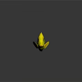 Bright Yellow Tropical Fish with Green Fins Orange Eyes and Pointed Snout