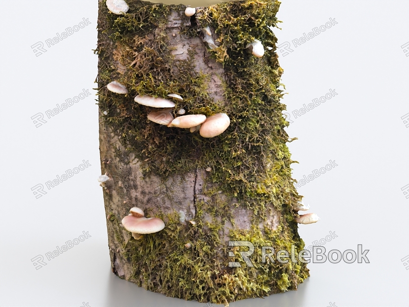 mushroom trunk moss ganoderma lucidum model