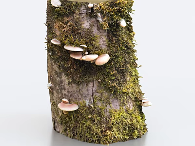 Tree Stump Covered With Moss And Mushrooms 3d model