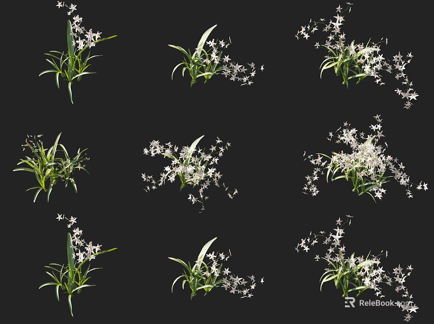 Various Beautiful Flowers With Green Leaves In Different Arrangements On Black Background 3d model 